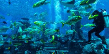 Las ciudades bajo el agua que desafían la historia