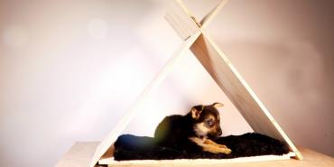 Una casa para mascotas