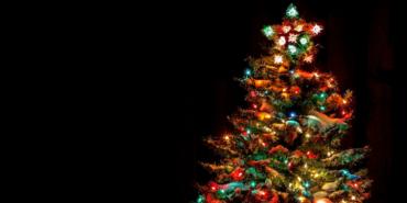 Conoce los árboles de navidad de los famosos