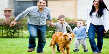 Mascotas: cómo hacerlas parte de la convivencia