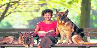 Espacios en casa para las mascotas