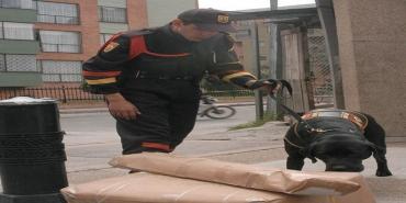 Vivienda propia y educación para guardas de seguridad en Colombia