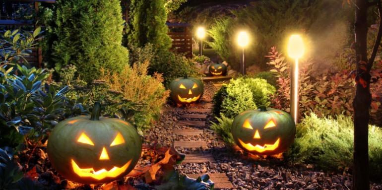 Decora con luces tu fiesta de Halloween Decora con luces tu fiesta de Halloween