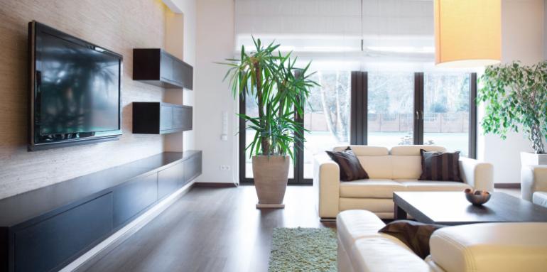 Plantas ideales para equilibrar la energía en el hogar