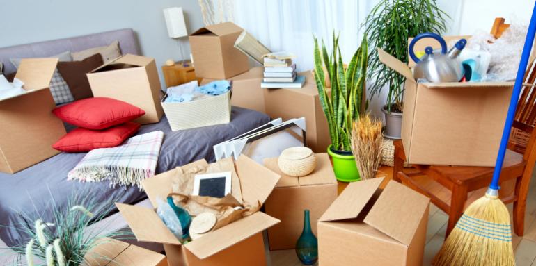 ¿Qué debo saber antes de hacer un trasteo?