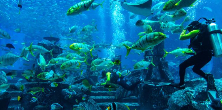 Las ciudades bajo el agua que desafían la historia Las ciudades bajo el agua que desafían la historia