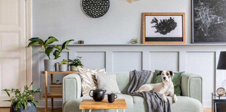 Así puedes decorar tu casa dependiendo de tu signo zodiacal