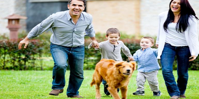 Mascotas: cómo hacerlas parte de la convivencia Mascotas: cómo hacerlas parte de la convivencia