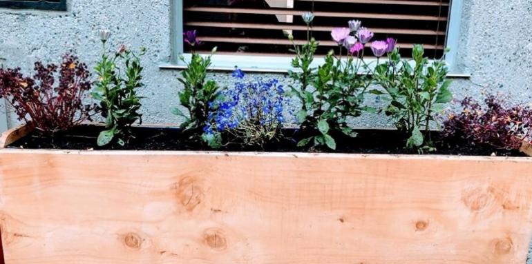 Conoce cómo tener una huerta en tu apartamento y alimentarte sanamente Conoce cómo tener una huerta en tu apartamento y alimentarte sanamente