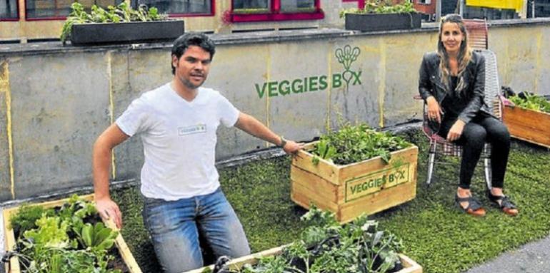 Una huerta en el balcón de su casa Una huerta en el balcón de su casa