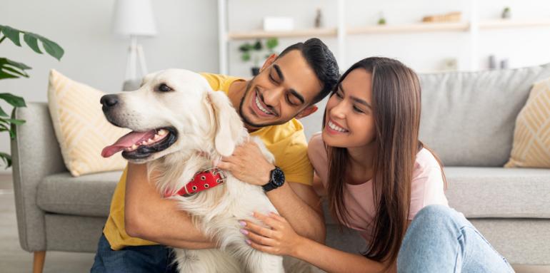 Ten en cuenta esto si estás buscando casa y tienes mascotas Ten en cuenta esto si estás buscando casa y tienes mascotas